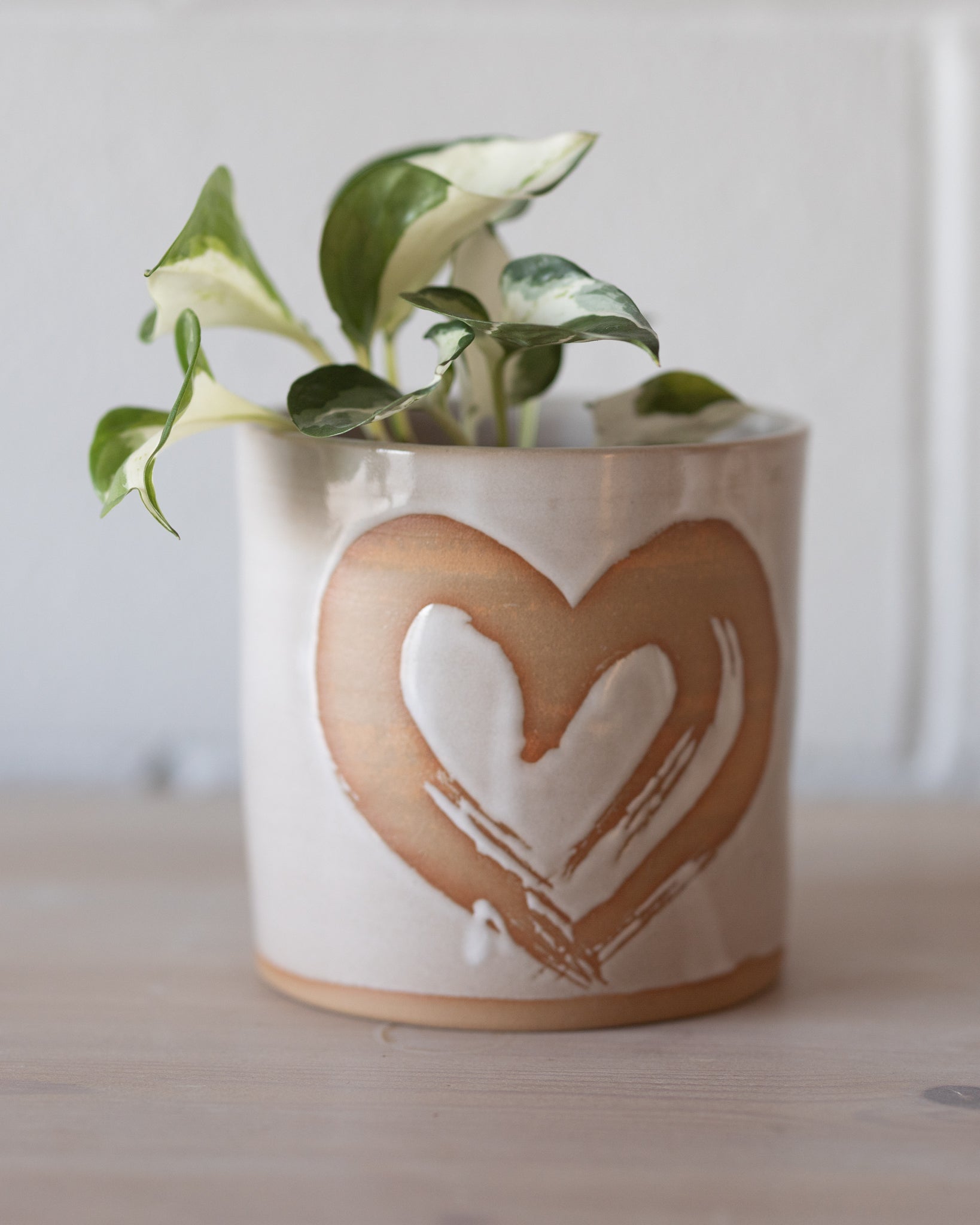 Heart Plant Pot